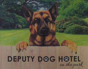 Dog-boarding-Deputy-dog-hotel